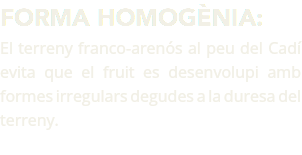 Forma homogènia:
El terreny franco-arenós al peu del Cadí evita que el fruit es desenvolupi amb formes irregulars degudes a la duresa del terreny.